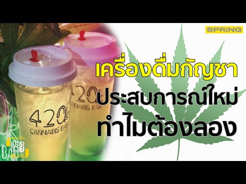 เครื่องดื่มกัญชาประสบการณ์ใหม่ ทำไมต้องลอง | รายการอยากเห็นเมืองไทยดีกว่านี้ | EP.20 3/3