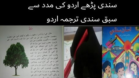 sindhi class 5|sindhi class 5 chapter 20|asan sindhi class 5 lecture 20 with urdu tarjuma and solve