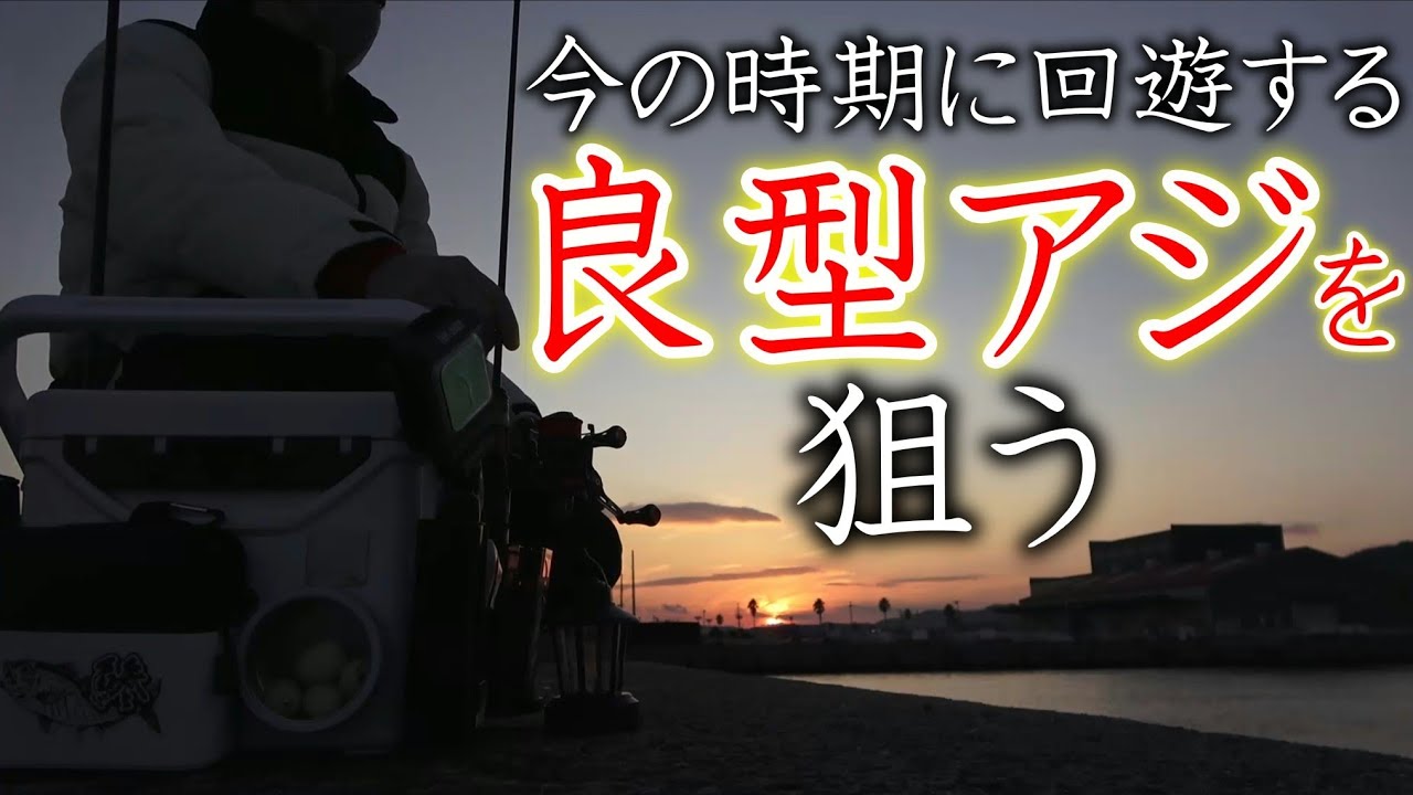 【アジング】今の時期、回遊する良型アジを狙う
