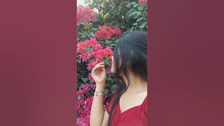 click here for the link Or check community post #meesho #meeshodress #onlineshopping #fashion #dress