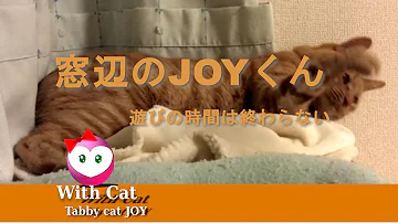 遊びの時間は終わらない Mp3 遊びの時間は終わらない Mp3