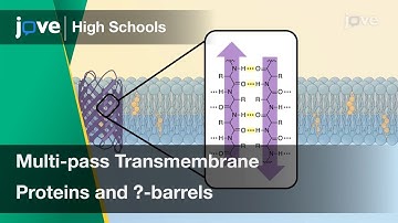 Multi-pass Transmembrane Proteins and β-barrels | Cell Bio | Video Textbooks - Preview
