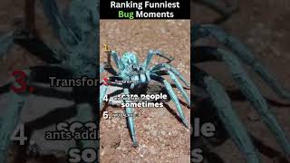 Ranking Funniest Bug Moments...  Subscribe please