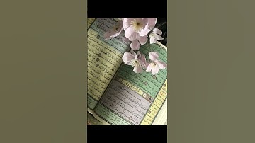 سورة الكهف بصوت القارئ ماهر المعيقلي #story #اجر