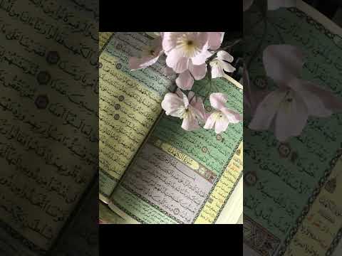 سورة الكهف بصوت القارئ ماهر المعيقلي  اجر