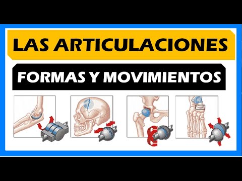 sucesor por no mencionar Red LAS ARTICULACIONES y sus MOVIMIENTOS | Tipos, CLASIFICACIÓN - YouTube