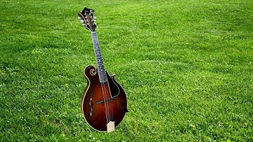 Every Bluegrass Mando Player Should Know This Lick I Mandolin Lesson