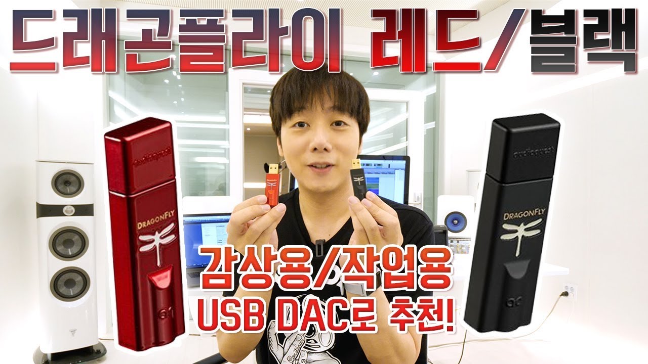 드래곤플라이 레드/블랙 비교! 감상용/작업용 USB DAC로 추천!