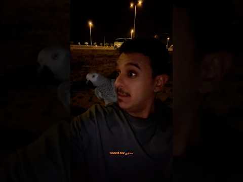 رحت البحر انا والشايب سعيد بن تركي 