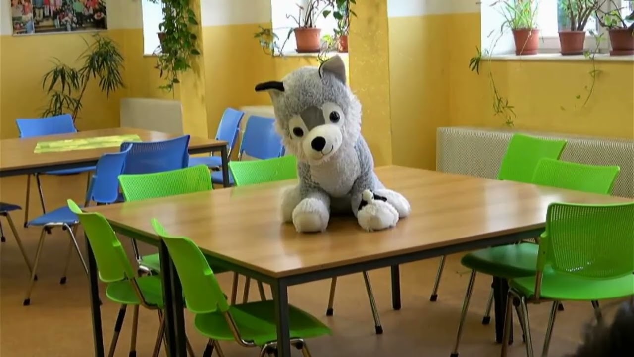 Zimní sporty a Ptačí příěhy