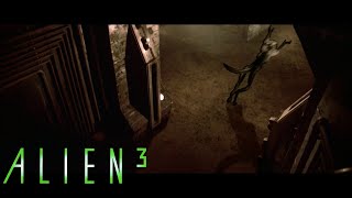 Crazy Inmate Ic Frees The Alien - Alien 3 1992 Hd