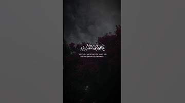 تلاوه من سورة النور|بصوت الشيخ ياسر الدوسري🎧♥️#trending #quran #قران_كريم #راحة_نفسية #قرآن