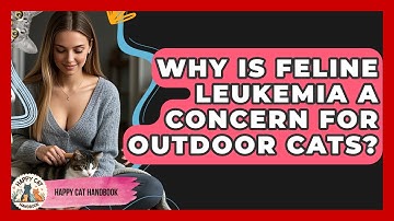 Why Is Feline Leukemia A Concern For Outdoor Cats? - Happy Cat Handbook