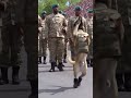 This Military Dog's Salute Will Melt Your Heart! 🐕🫡 #Shorts #k9unit #militarydog #dogtraining #funny
