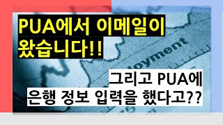 실업급여를 못받게 되면 신청하는 PUA에서 이메일이 왔습니다. PUA에서 답변?? / PUA에서 은행 정보 입력?? [미국생활이야기]