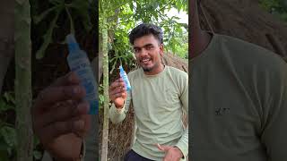 Gullu Experiment Video 🧪 #shorts #viral #shorts #scienceexperiment