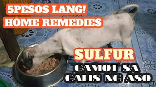 #homeremidies #dogcaringtips dogs caring tips kung wala po kayong
badget para pang pa vet pwd mo kayo gumamit ng sulfur soap sa mga
dogies natin like dr...