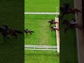 The drone shots are 🤯 Watch some French horses get the hang of jumping at a racecourse 💯