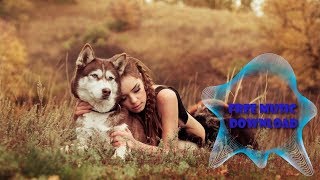 Jordan Schor & Harley Bird – Home [No Copyright – Royalty Free Electronic Music]