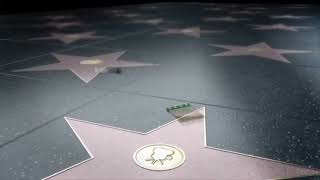 Moviemax Stars Digitürk - Logo Ara Geçiş Jeneriği - 1 Temmuz 2010 - 13 Ocak 2017 - 60 Fps