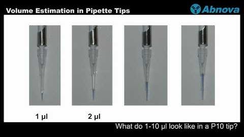 Volume Estimation in Pipette Tips