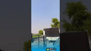 #viral #viralreels #horse #haryanvi #sirsa