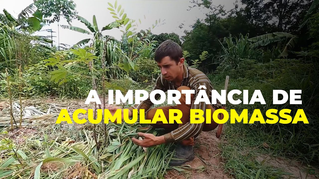 Você deve ACUMULAR BIOMASSA por esse motivo!