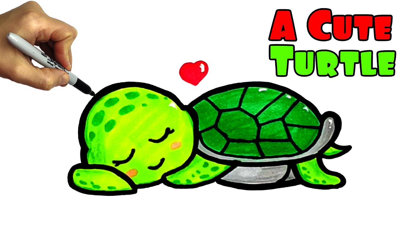 how to draw a cute turtle