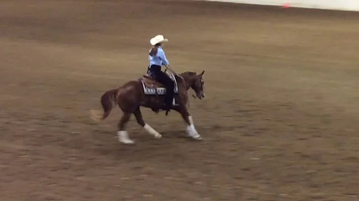My Lucky Gunner & Allison Boswell