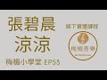 53(學唱歌)| 歌唱教學｜涼涼｜聲帶閉合不好｜美麗乾淨的音色｜張碧晨｜三生三世十里桃花片尾曲｜梅楣歌唱班上課日記【53集】