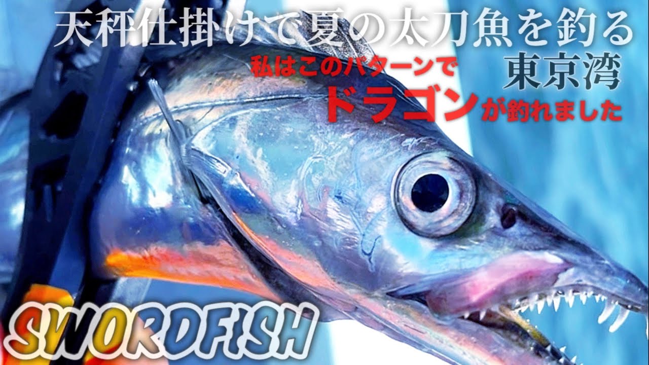 【タチウオ釣り】東京湾の天秤タチウオ。私はこのパターンでドラゴンが釣れました。金沢漁港　忠彦丸〜#タチウオ釣り #東京湾 #船釣り