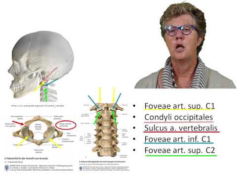 Video: Anatomie, Diagram En Functie Van De Cervicale Wervelkolom - Lichaamskaarten