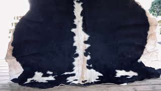 Cow Hide Tanning for Beginners || Soften a Ruff Hide