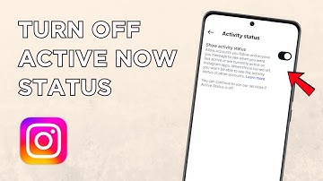 Hoe je de activiteitsstatus op Instagram verbergt | Schakel 