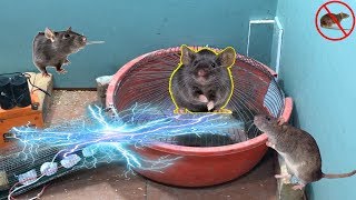 Electric Rat TrapBest Mouse Trap Using Grillewater bottle Electric Mouse  Trap With Battery 12V - Vidéo Dailymotion