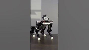 XGO Mini has some dance moves! #shorts #robotic