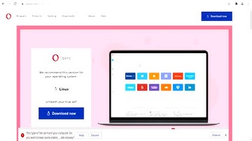 How to Install Opera Latest Version In Linux From The Official Download