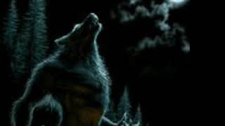 Powerwolf - Werewolves of Armenia