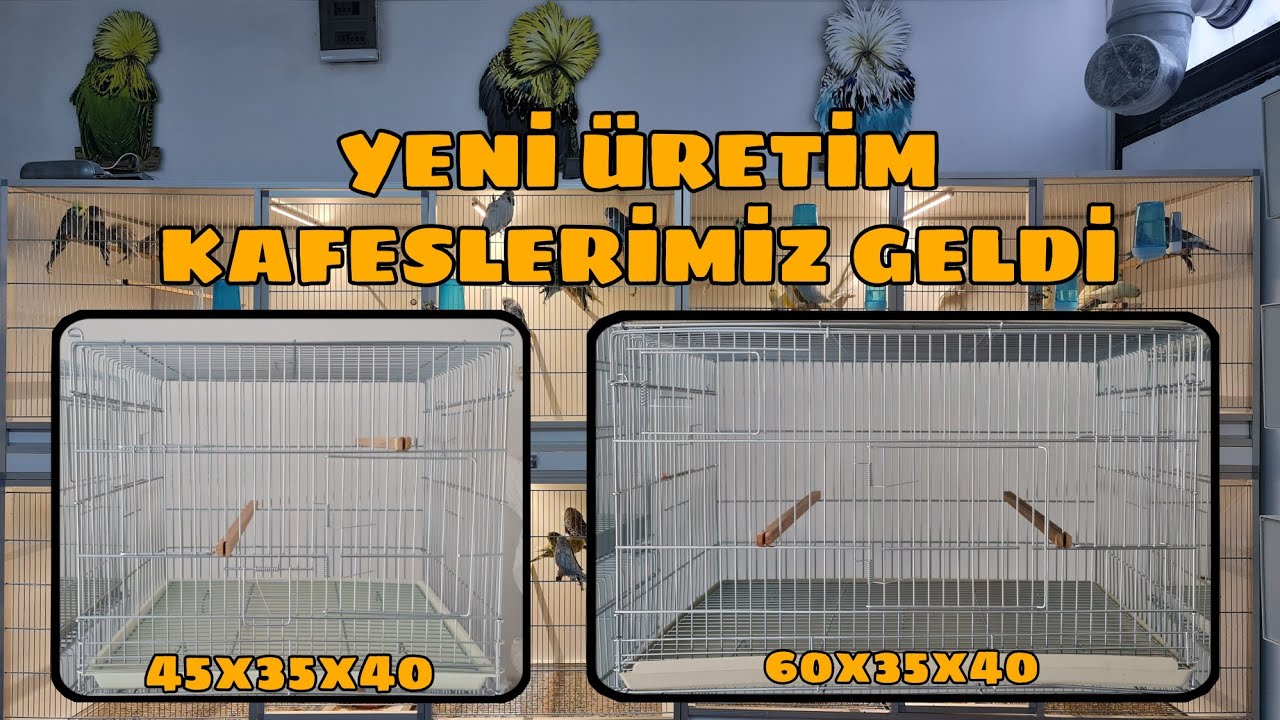 Yeni Gelen Kaliteli Ama Uygun Fiyatlı Kafeslerimizi İnceliyoruz