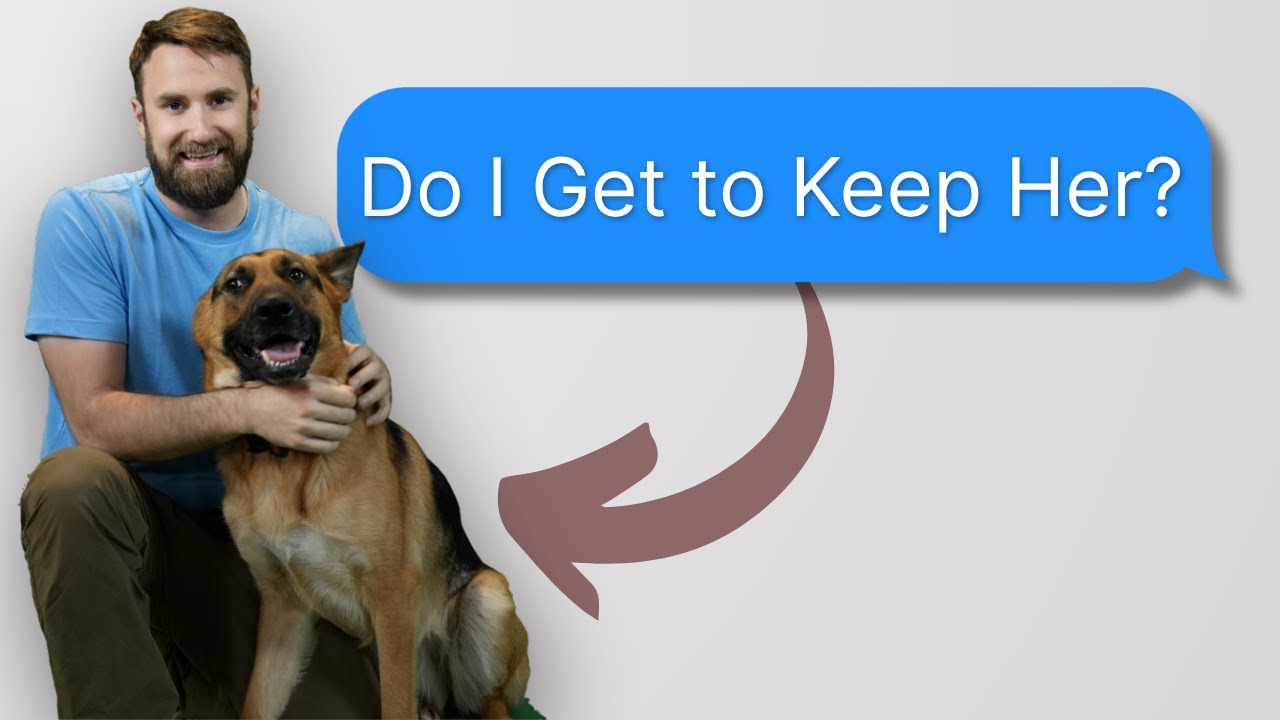 Do I get to Keep K9 Nala? | Most Asked Questions