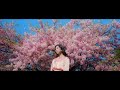 猫戦 - 桜 super love [Official Video]