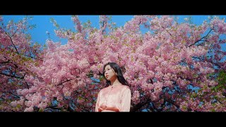 Video thumbnail of "猫戦 - 桜 super love [Official Video]"