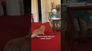 Adorable Moment Between Queen And Her Pet Dorgi
