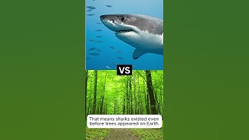 Sharks Existed Before Trees?! 🦈🌳 | Mind-Blowing Fact