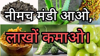 ऐसी मंडी के बारे आपने ना कभी सुना होगा और ना देखा होगा।। नीमच मंडी।। Neemuch Mandi screenshot 3