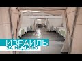 Израиль за неделю / 19.03.2022