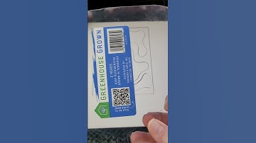 Using Shaper Trace - hand drawn, laser cut, Foam Stamps!