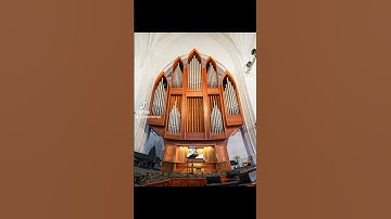 The old world paradise pipe organs #theoldworldparadise
