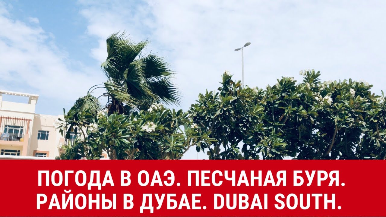 Погода в дубае в июле. Абу даби сейчас. Погода в оаэ в сентябре отзывы. Дубай погода сегодня. В каком эмирате лучше отдыхать в сентябре.