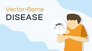 Vector Borne Diseases Animated PPT Slides